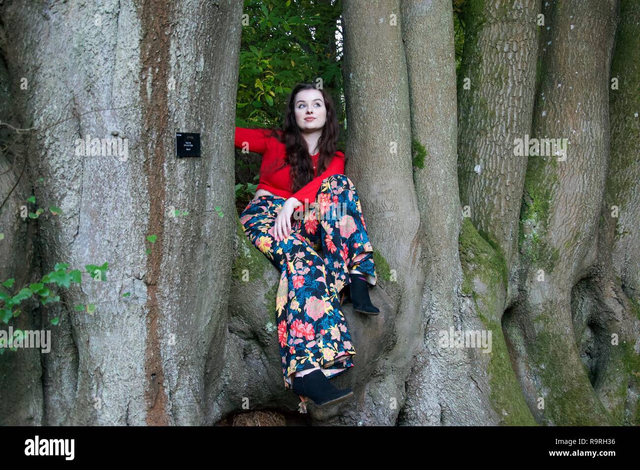 Un vestiti alla moda giovane donna siede tra i tronchi di faggi e guarda verso l'alto Foto Stock