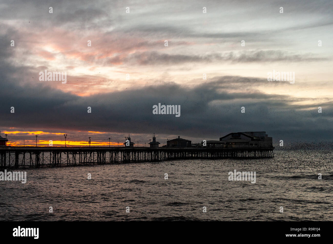 Blackpool, Regno Unito. 28 dicembre, 2018. Migliaia di storni volare in murmurations intorno a Blackpool North Pier , prima sono ' appollaiati per la notte sul molo di gambe. Credito: Andy Gibson/Alamy Live News. Foto Stock