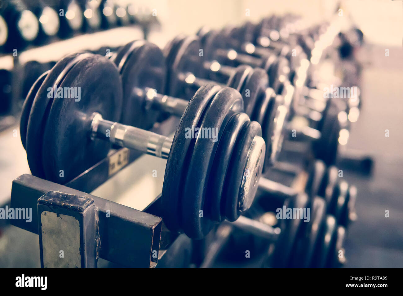 Le righe dei pesi nella palestra con altissimo contrasto e monocromatico colore tono. concetto di bodybuilding. Foto Stock