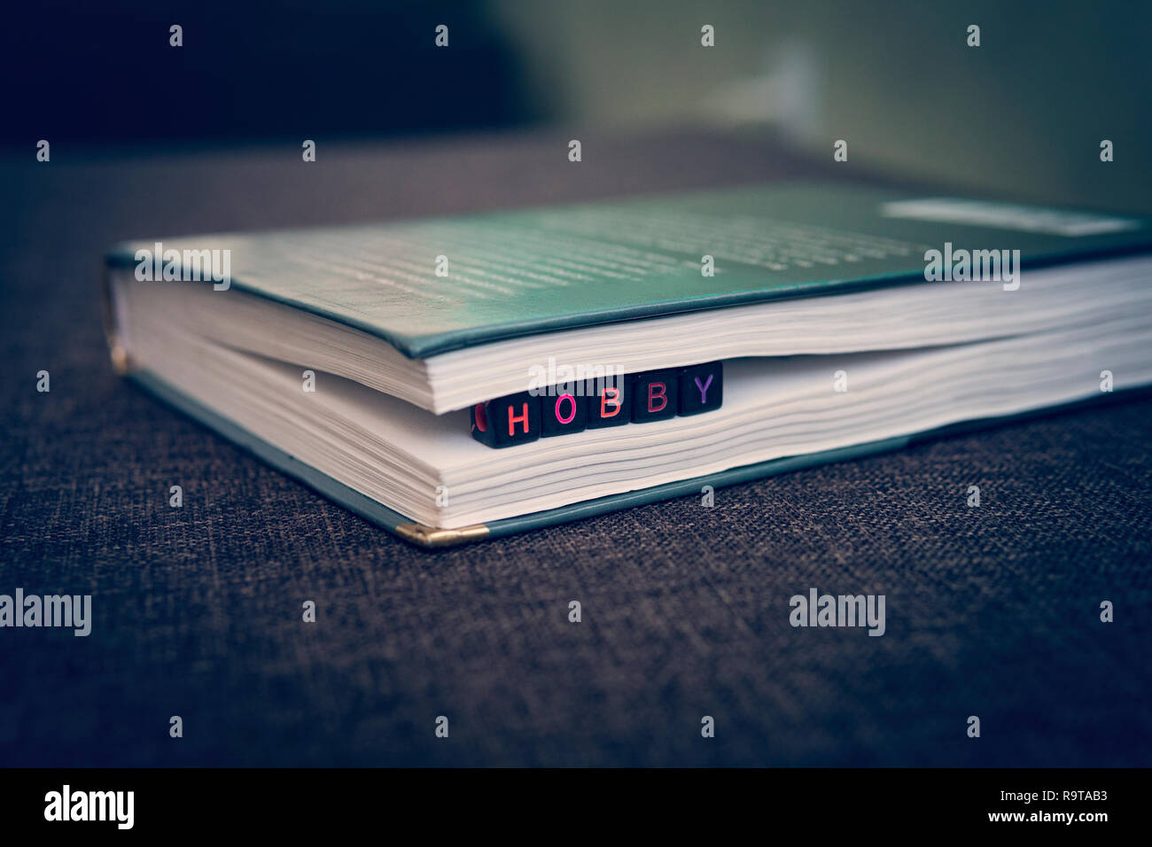 Hobby iscrizione nel libro. il concetto di lettura e di amore per i libri. Foto Stock