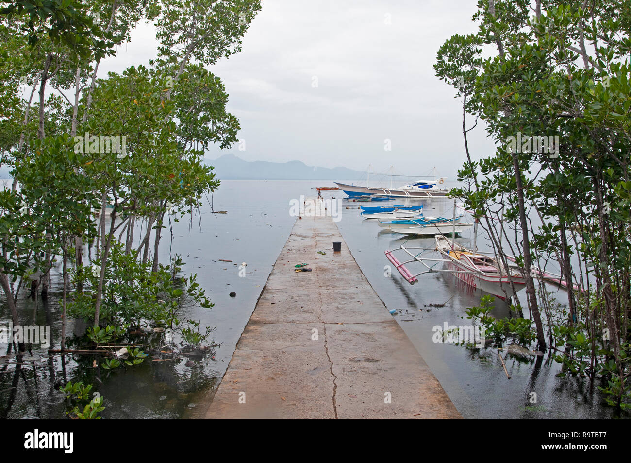Tradizionali barche da pesca a Tambisan Pier, vicino a San Juan, Sequijor Isola, Visayas, Filippine, Sud Asia, Asia Foto Stock