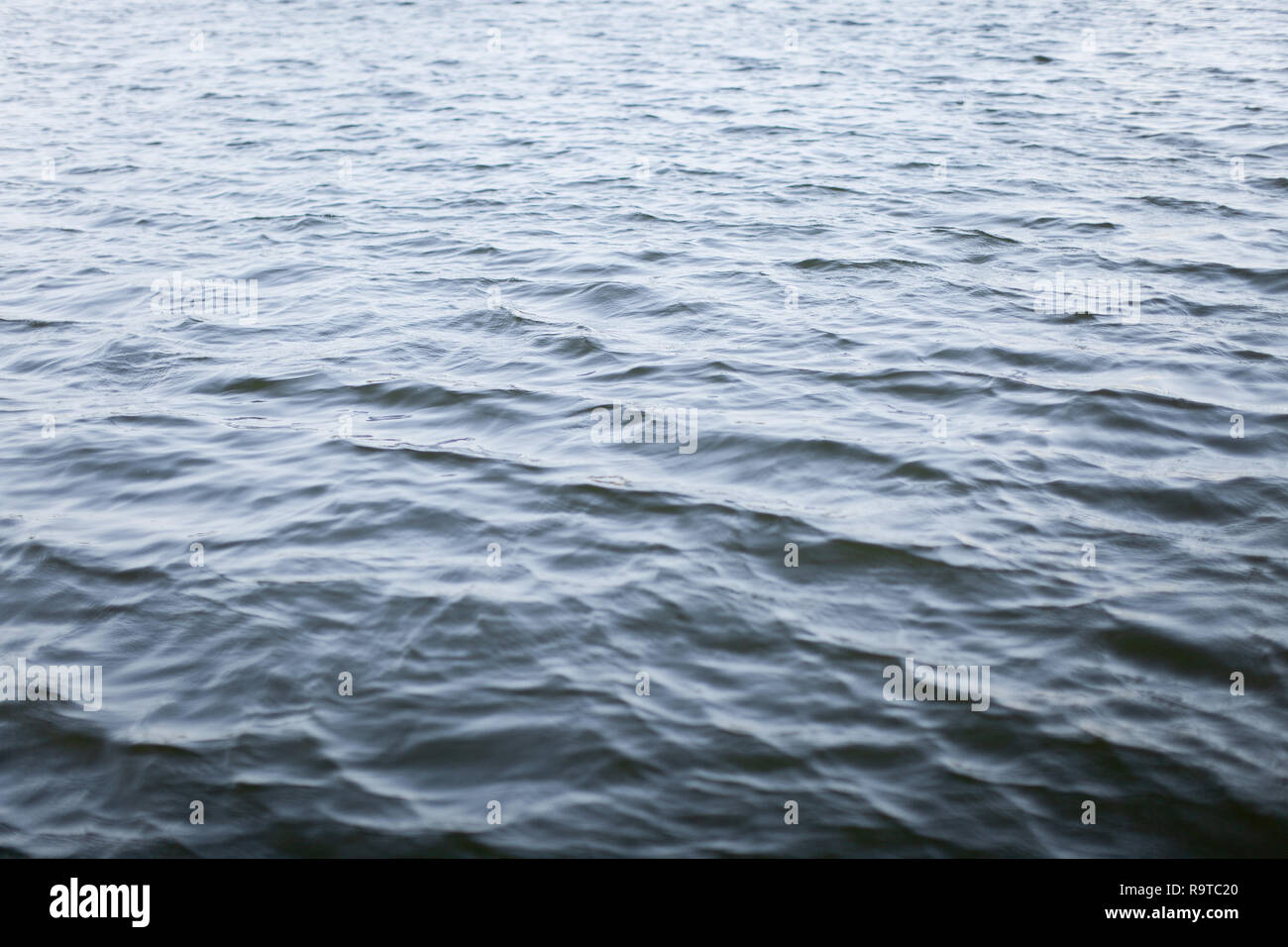 Natura astratta sfondo testurizzato, scuro ondulato ripple di acqua con il vento nel lago. Foto Stock