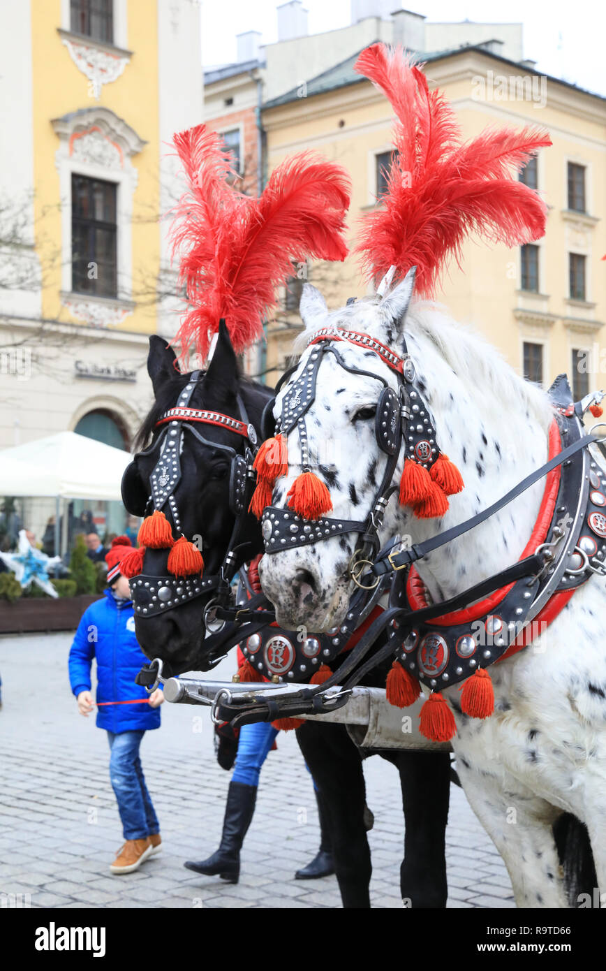 Decorazioni di festa che ornano il cavallo e gite in carrozza nella Piazza del Mercato di Cracovia, nel tempo di Natale, in Polonia, in Europa Foto Stock