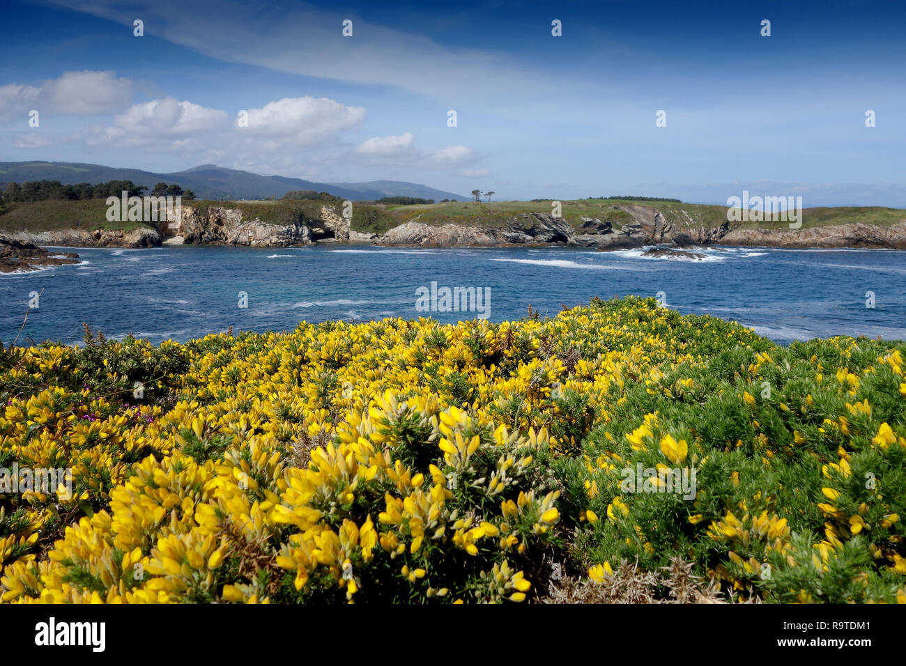 Promontorio costiero e rocce vicino a Ribadeo in Galizia Spagna settentrionale Foto Stock