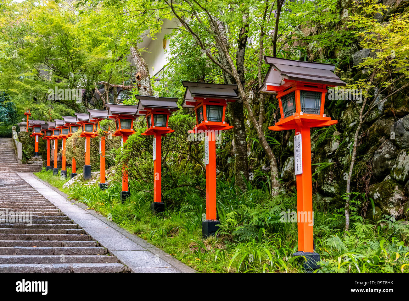 U.S.Capitol Washington D.C. Foto Stock