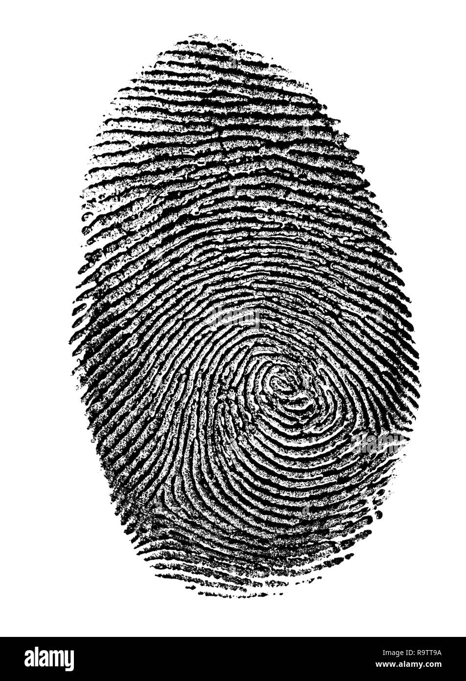 Impronta digitale in bianco e nero. Impronte digitali reale isolato in bianco, stampare su carta trasparente. Foto Stock