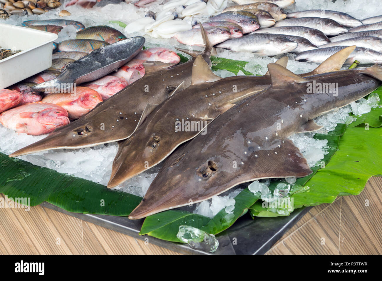 Pesce fresco pescato, squali e pesci su ghiaccio per la vendita su strada al di fuori di un ristorante in Phuket, Tailandia Foto Stock