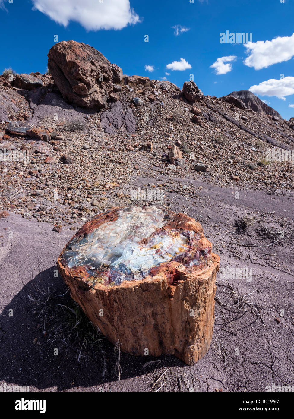 Legno pietrificato lungo la vecchia strada in Jasper Forest area, Parco Nazionale della Foresta Pietrificata, Arizona. Foto Stock