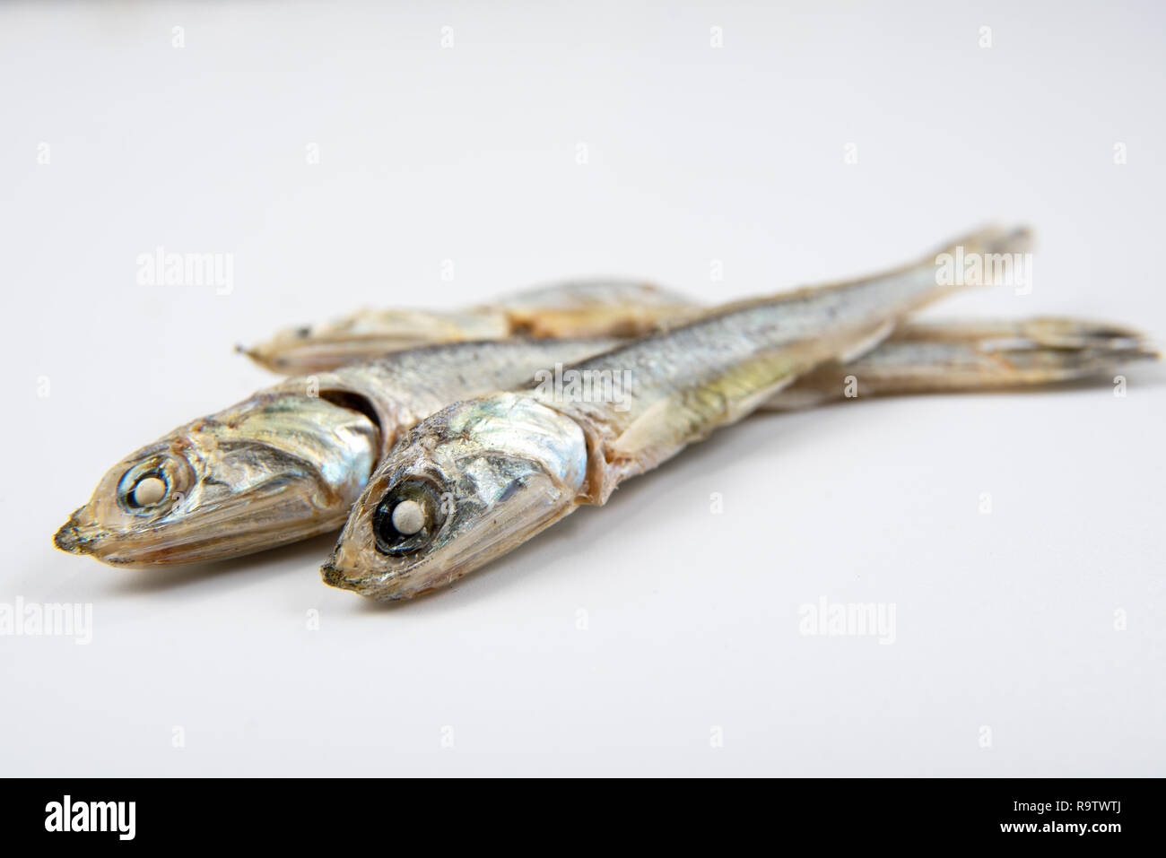 Acciughe essiccate utilizzate nella cucina coreana. Isolato su sfondo bianco. Foto Stock