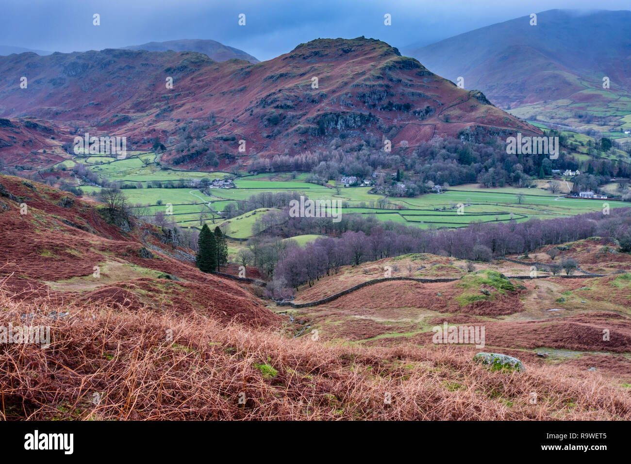 Helm Crag e sede sandalo, visto dal lato inferiore di fianchi di argento come, vicino a Grasmere, Lake District, Cumbria Foto Stock