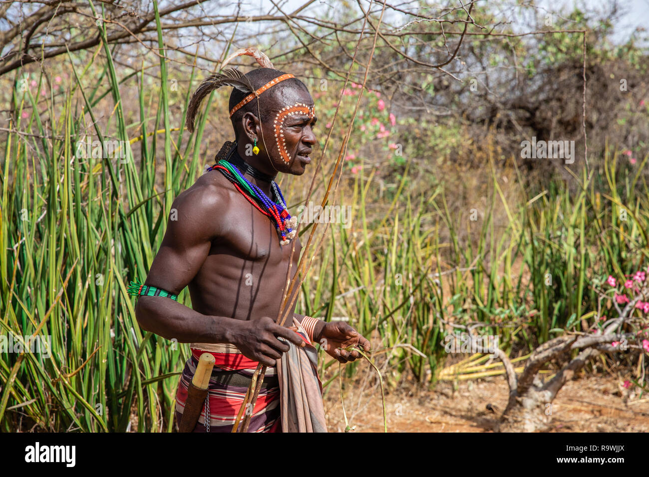 Hamar tribù cerimonia di iniziazione nella valle dell'Omo, Etiopia Foto Stock