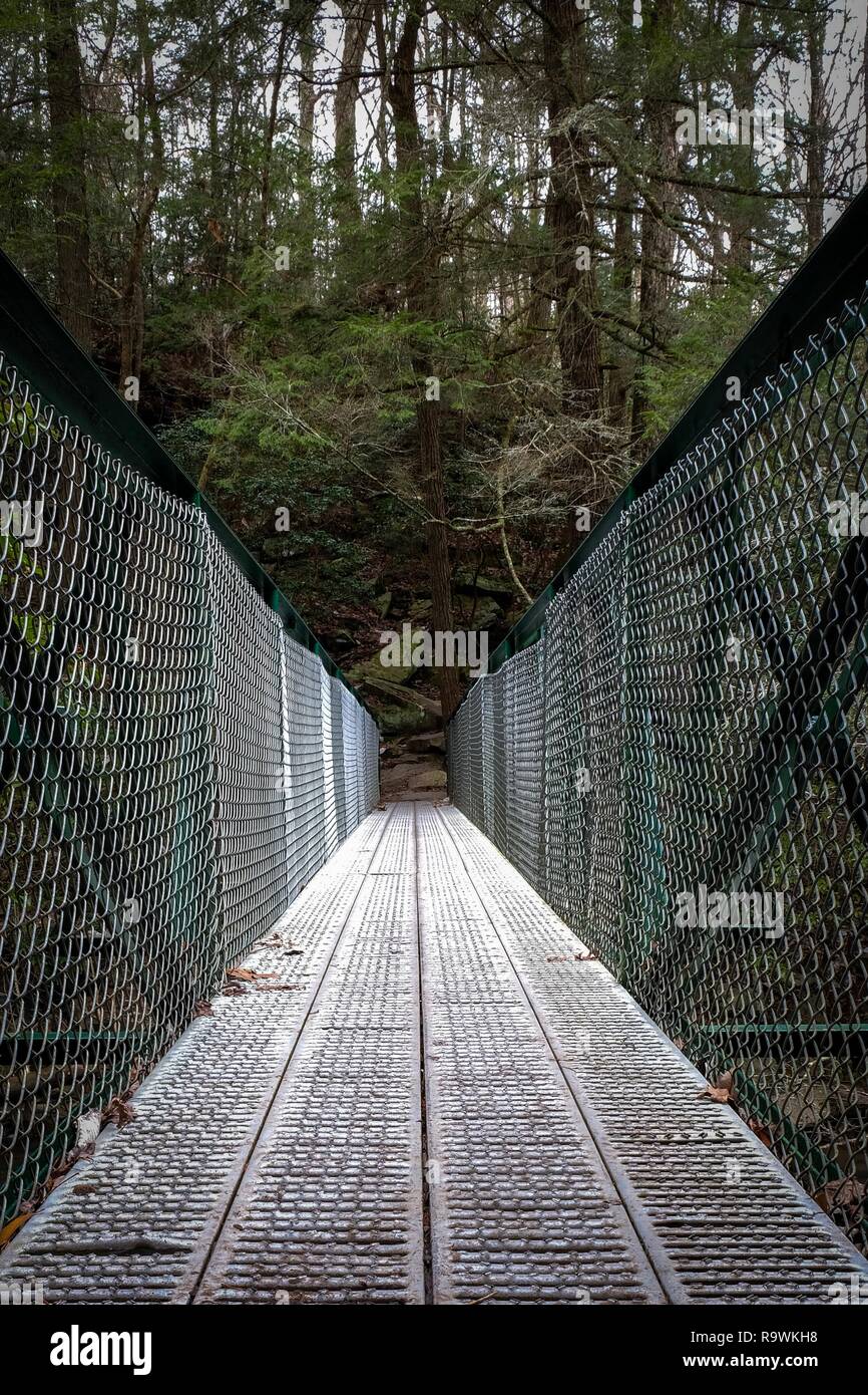 Un basso angolo di visione attraverso una passerella di metallo sopra il piccolo ventriglio Creek appena a monte Foster rientra in Sequatchie Tennessee. Foto Stock