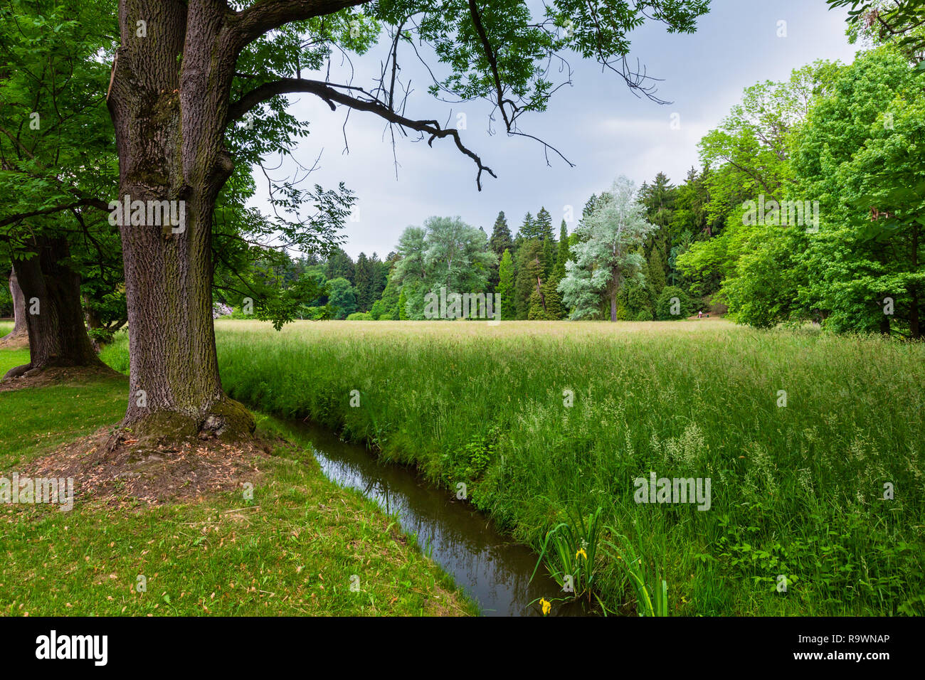 Il fosso di acqua canale sul prato erboso in estate il parco della città. Foto Stock