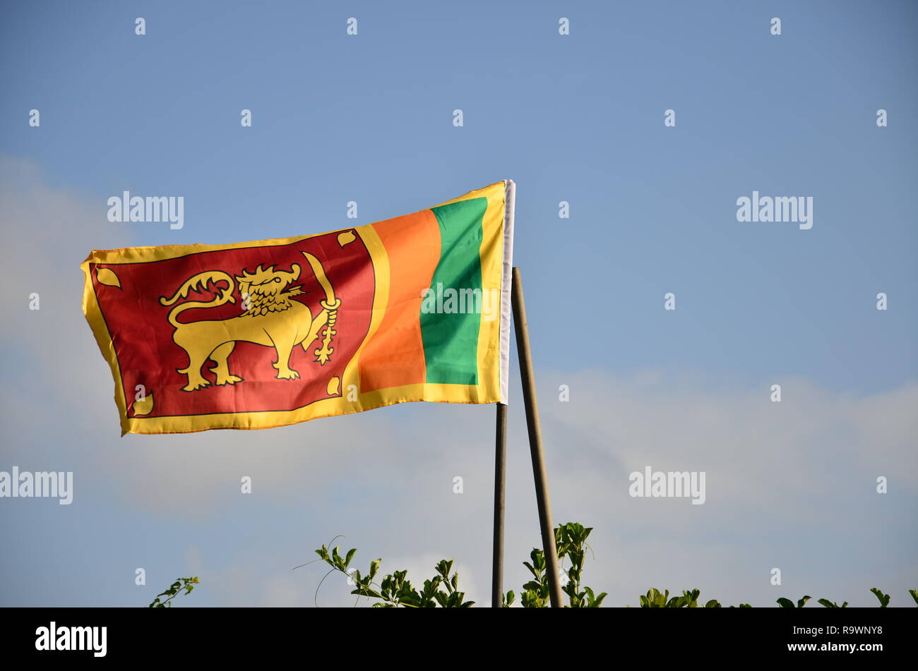 Il governo dello Sri Lanka Bandiera Foto Stock