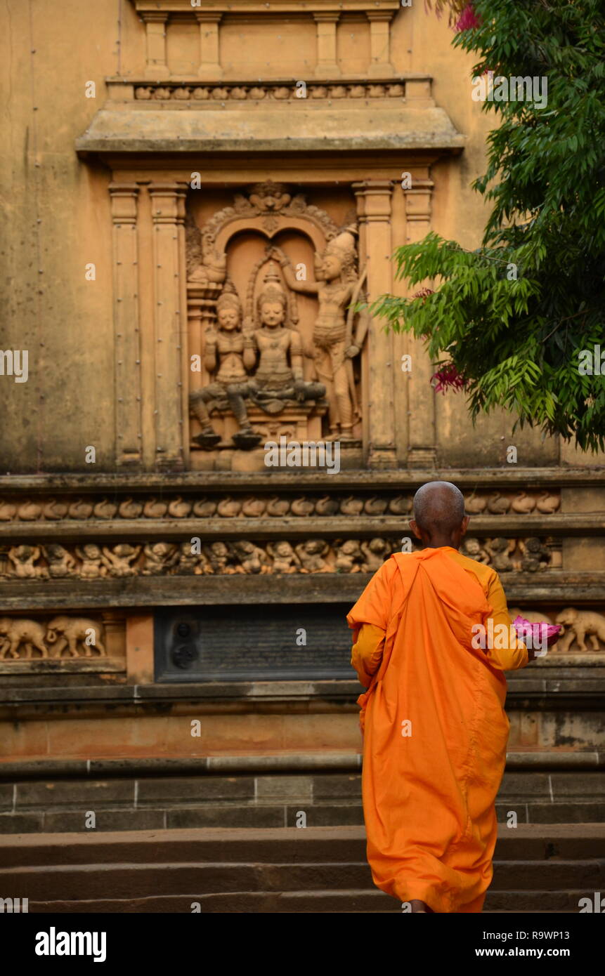 Un monaco in un tempio buddista in Sri Lanka Foto Stock