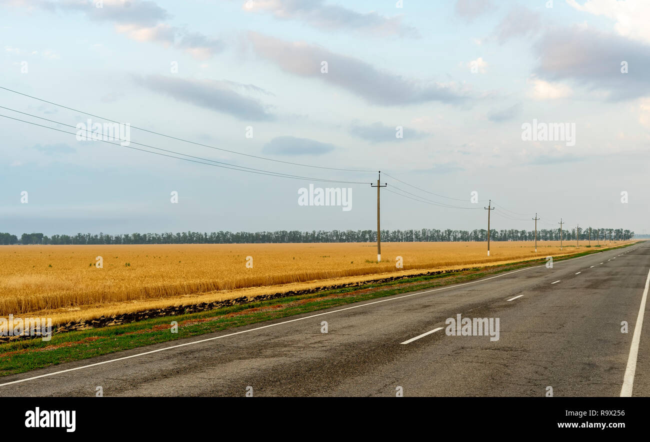Strada lungo il bordo di un campo wheaten sul cielo blu sullo sfondo Foto Stock