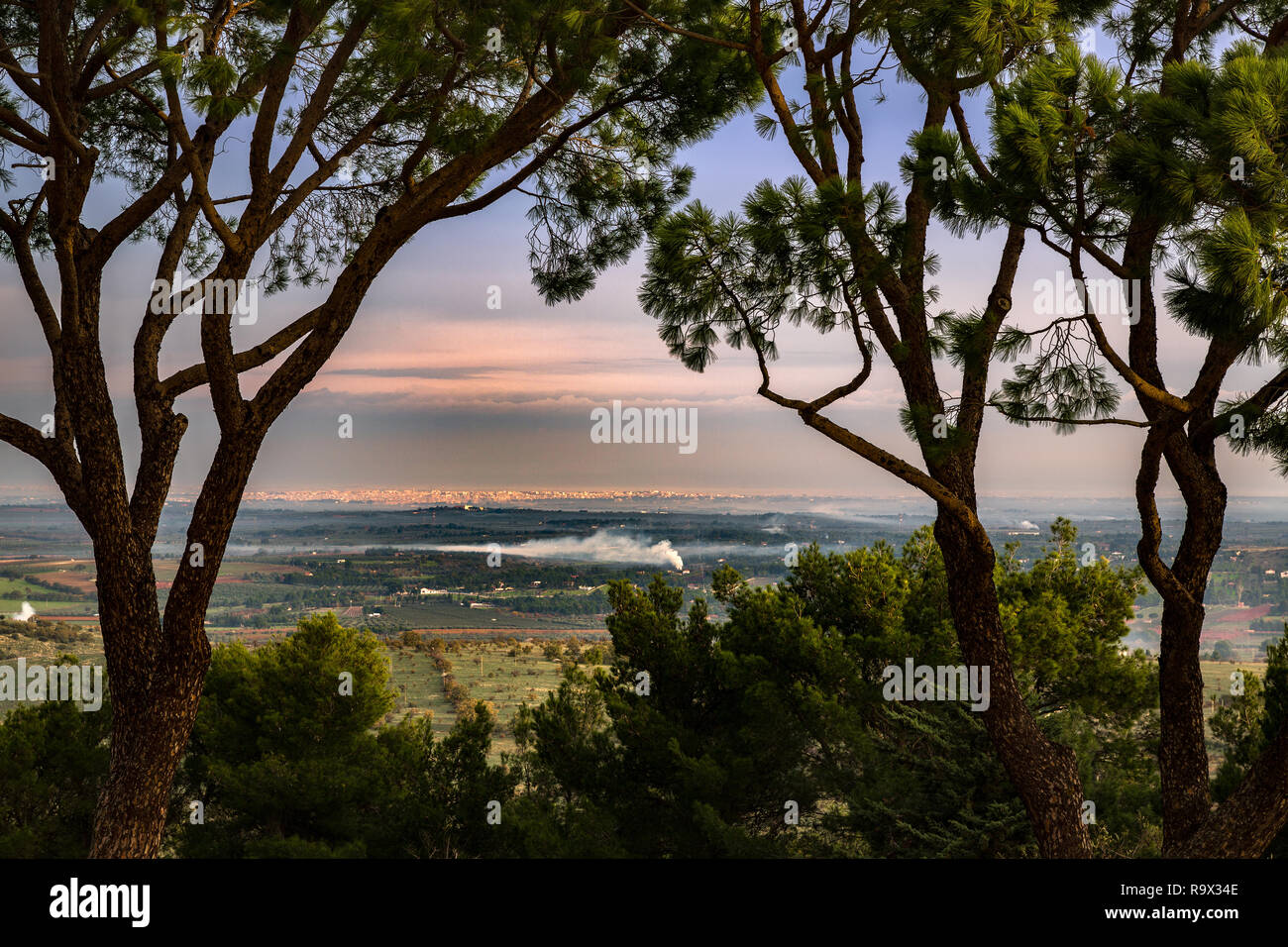 Vista dell'altopiano delle Murge con la città di Andria all'alba Foto Stock