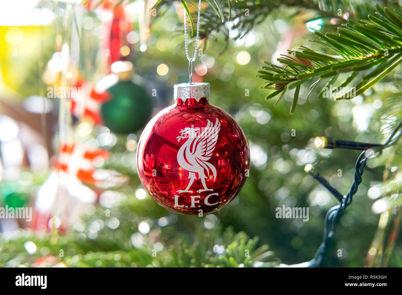 Rosso albero di natale Pallina decorazione con il Liverpool Football Club (LFC) il logo in stretta fino a un fir albero di Natale con luci Foto Stock