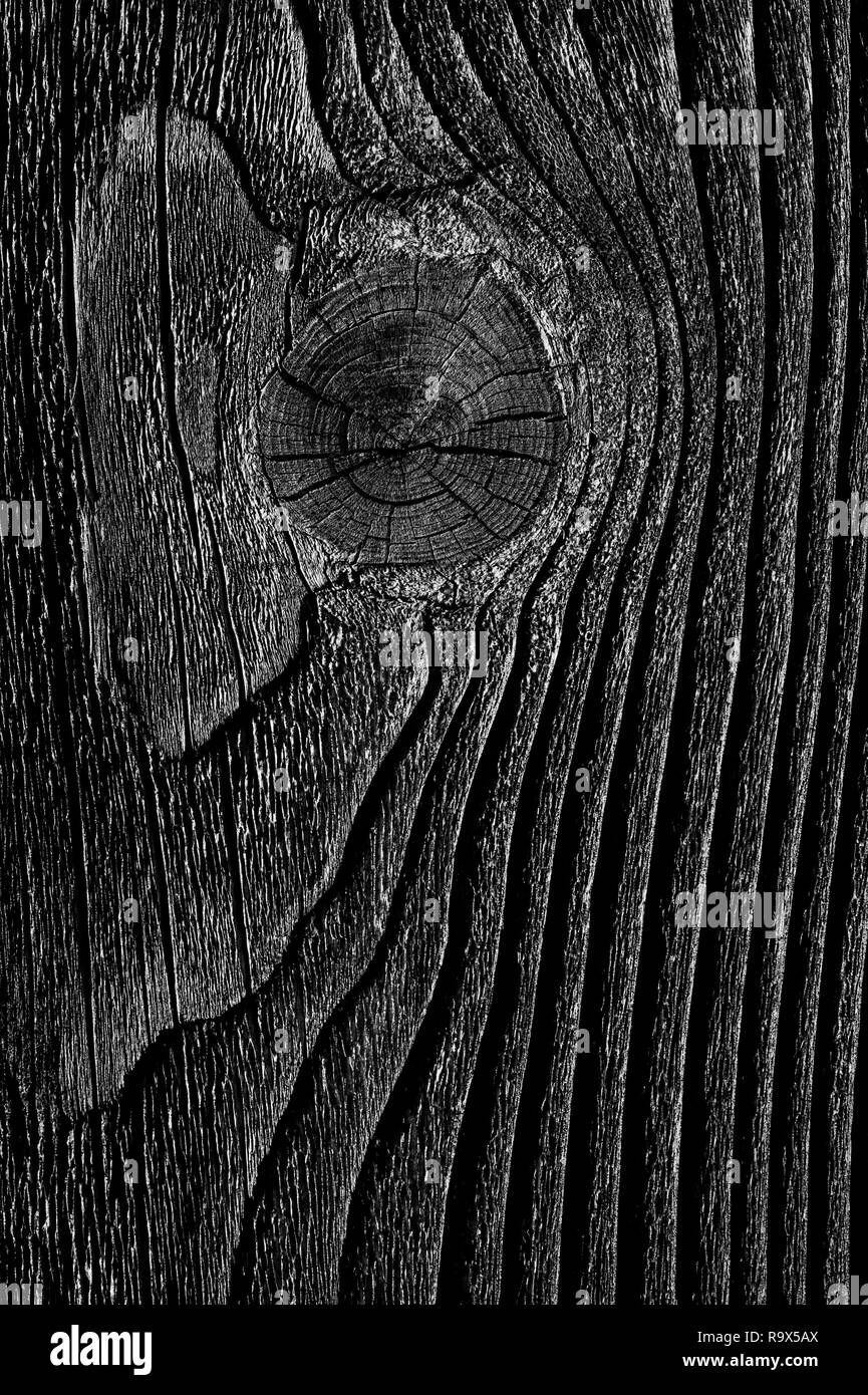 Recinzione in legno close-up con grana di legno e legno nodi Foto Stock