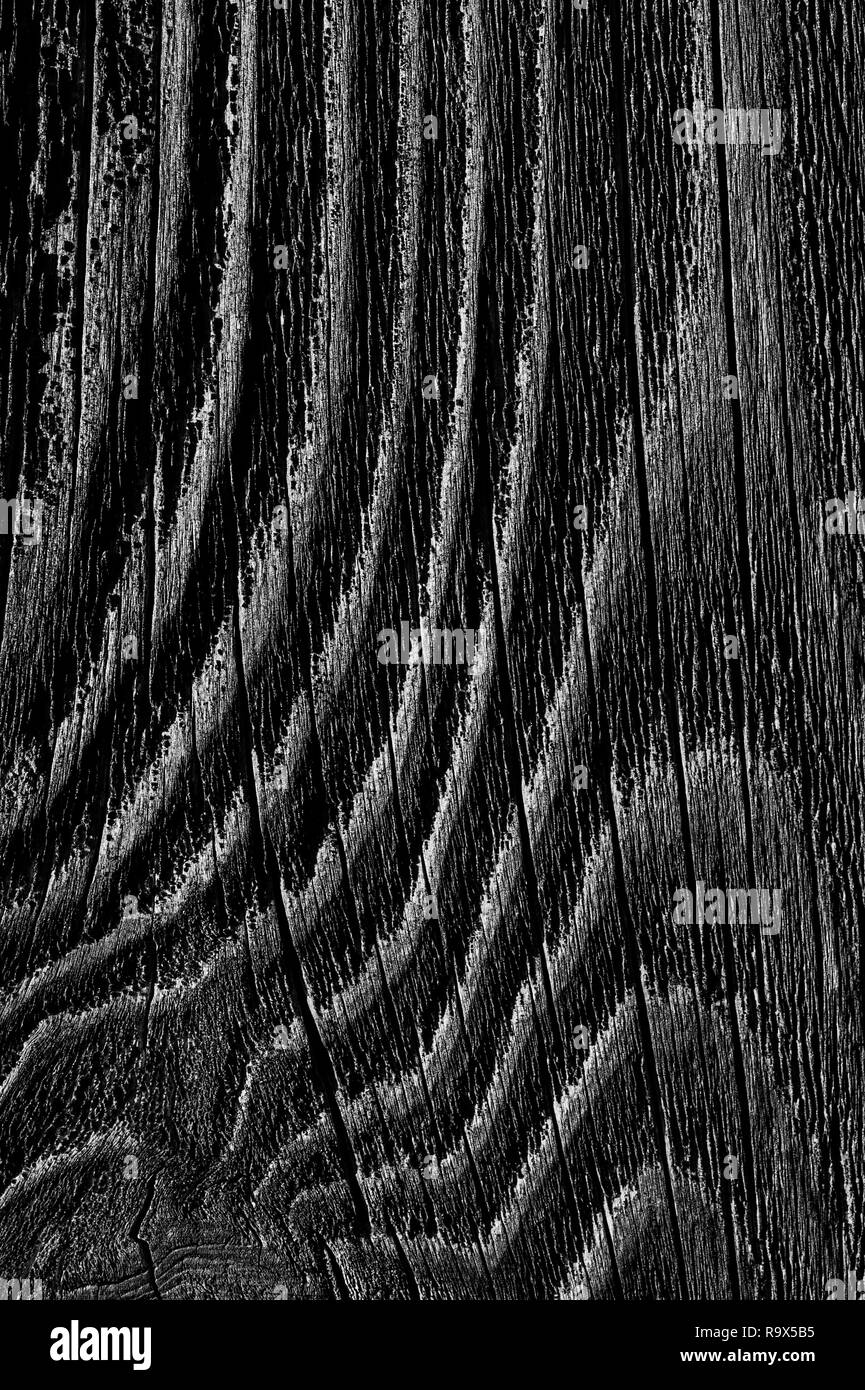 Recinzione in legno close-up con grana di legno e legno nodi Foto Stock Recinzione in legno close-up con grana di legno e legno nodi Foto Stock