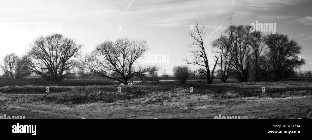 Il paesaggio sul fiume Elba vicino Lostau in Germania Foto Stock
