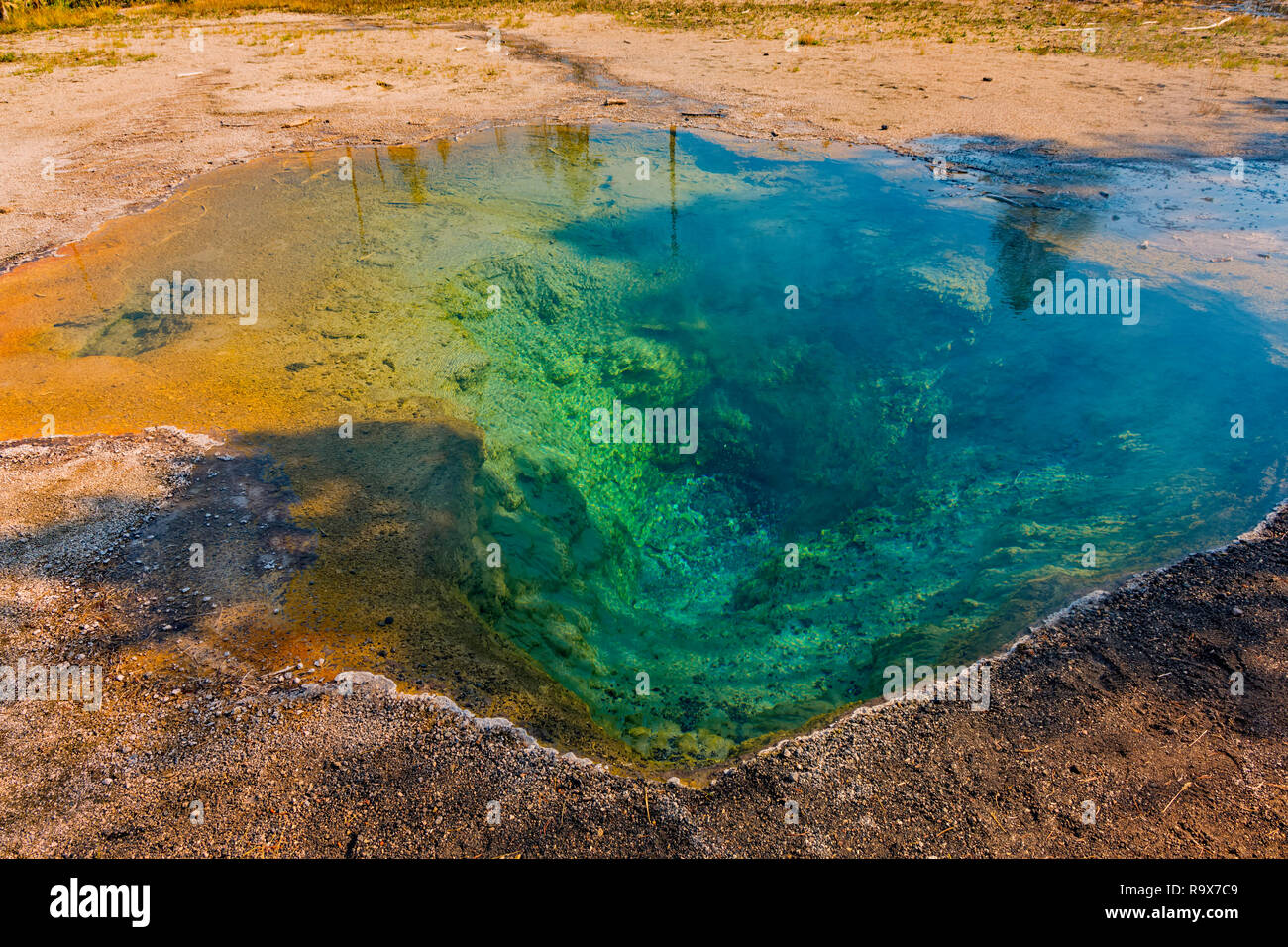 Una primavera calda piscina al minore Geyser Basin nel Parco Nazionale di Yellowstone Wyoming USA Foto Stock