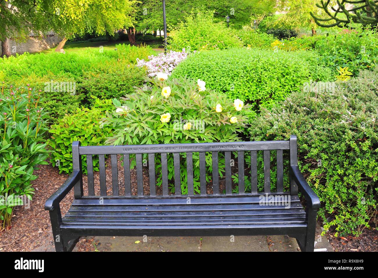 York Inghilterra Cityscapes Foto Stock