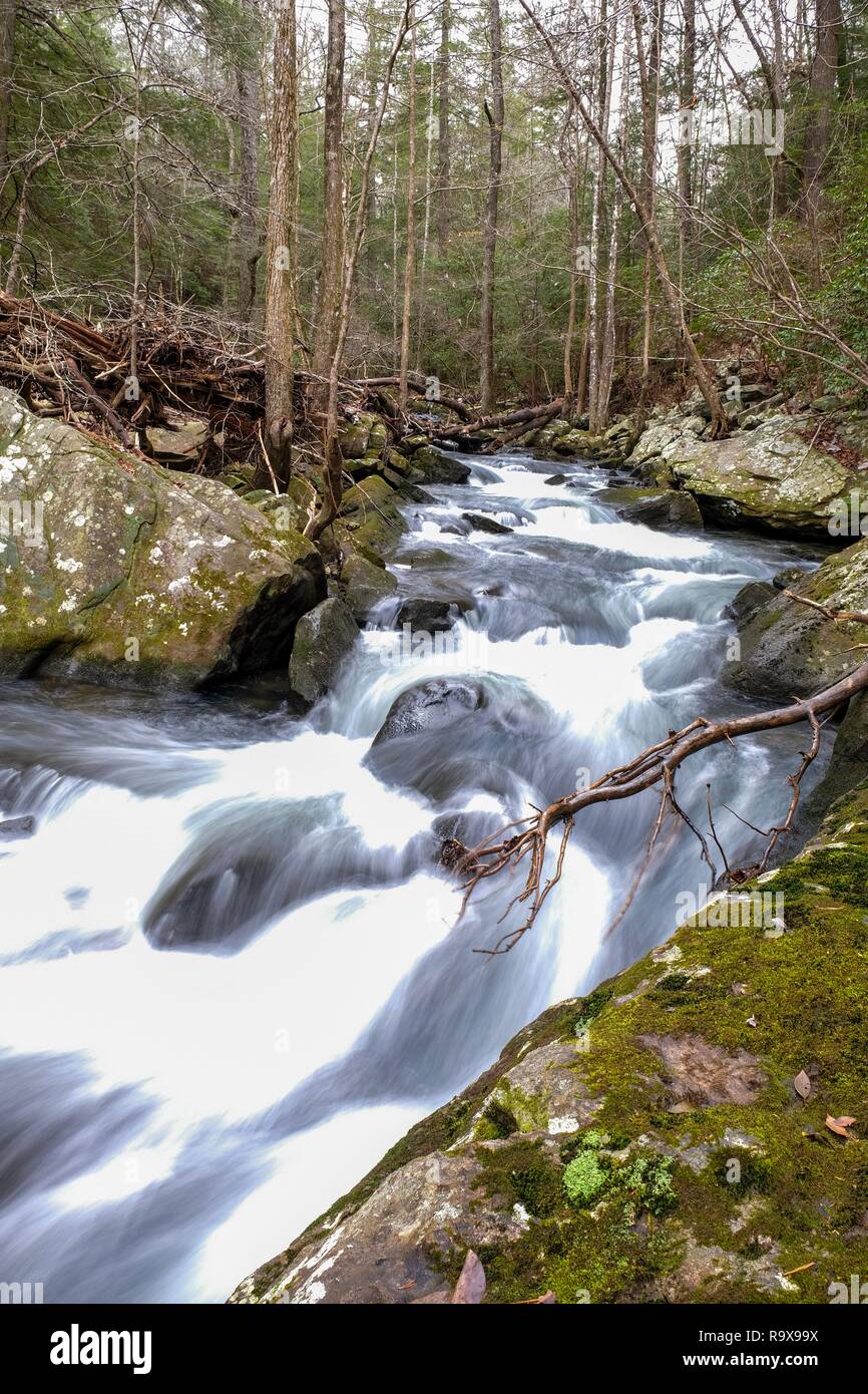 Una lunga esposizione delle acque bianche di poco il ventriglio Creek dal Fiery ventriglio sentiero vicino a promuovere cade, Sud Cumberland parco dello stato sul Cumberl Foto Stock