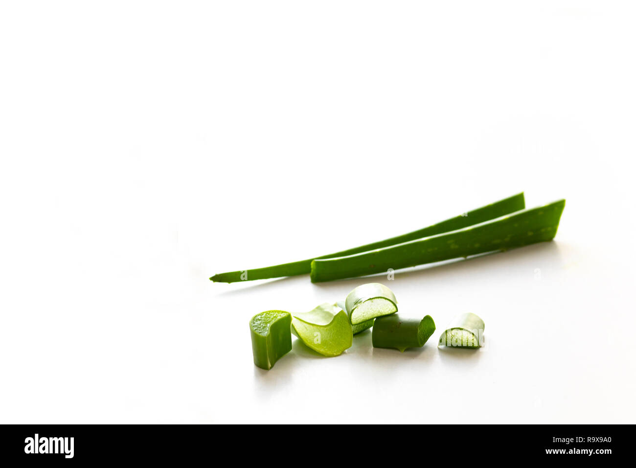 Aloe Vera su sfondo bianco Foto Stock