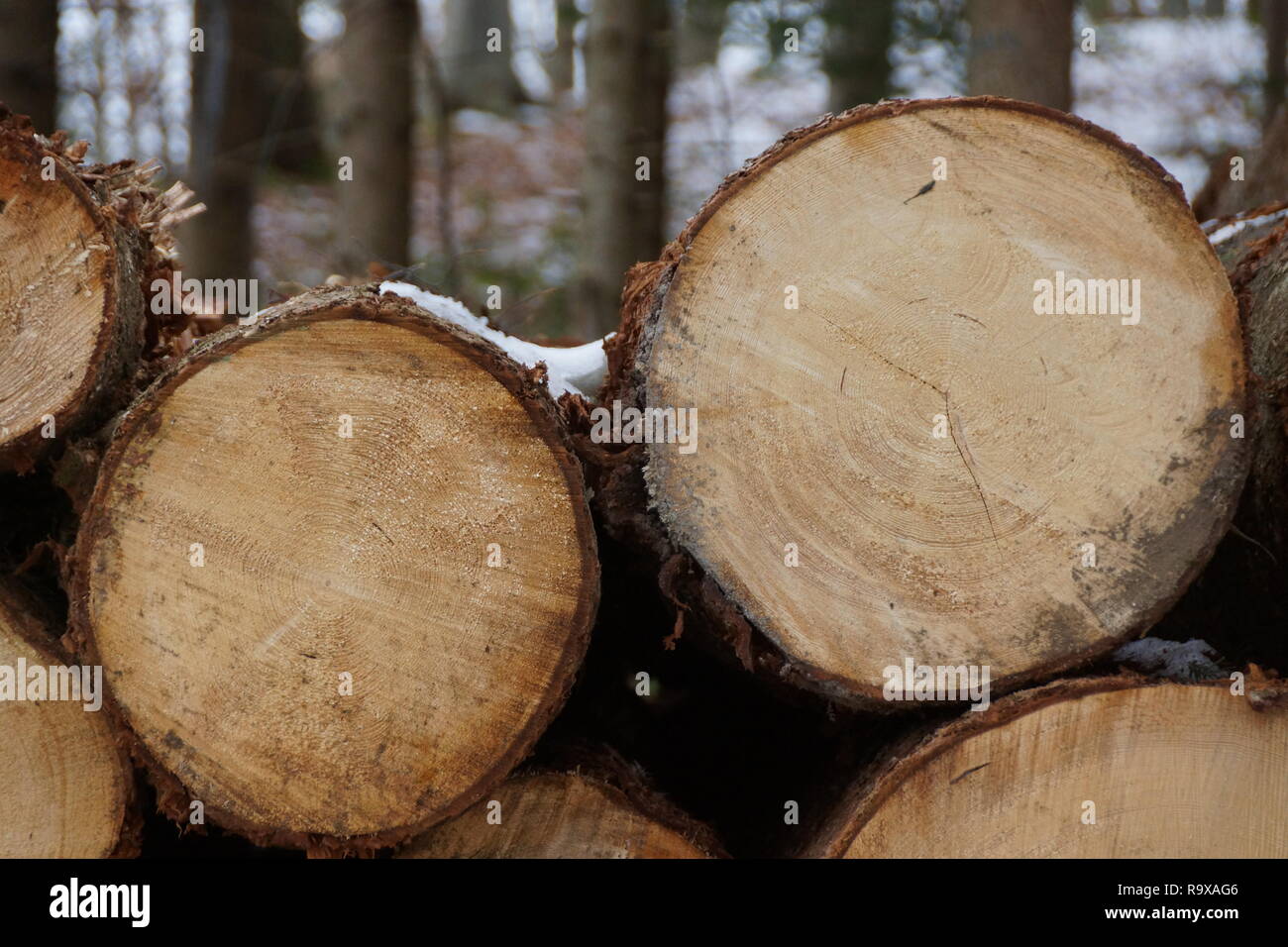Neve su registri Foto Stock