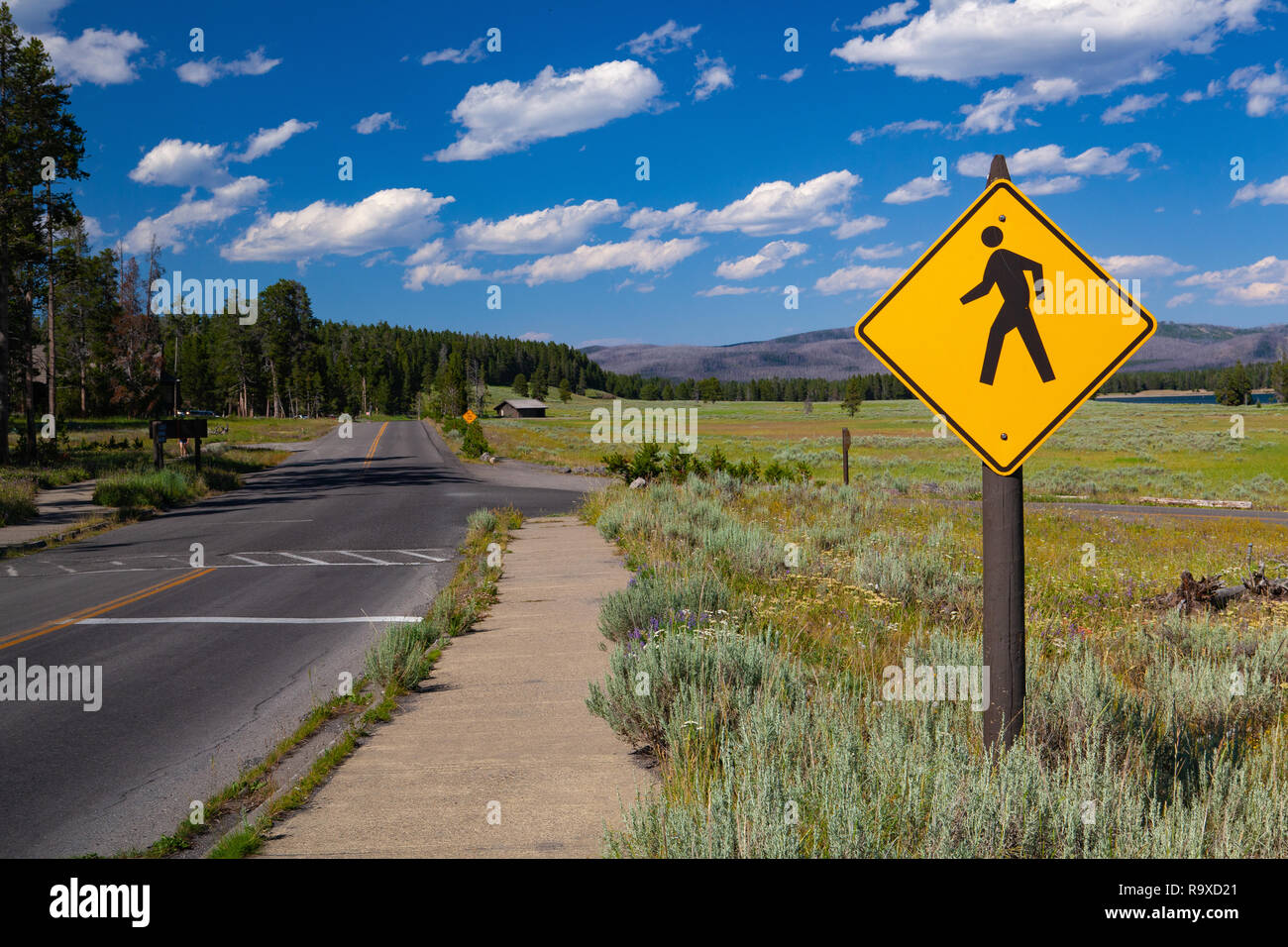 Scenario nel Parco Nazionale di Yellowstone, Wyoming negli Stati Uniti. Nel Parco Nazionale di Yellowstone vivere il più antico e grande pubblico mandria bison negli Stati Uniti. Foto Stock