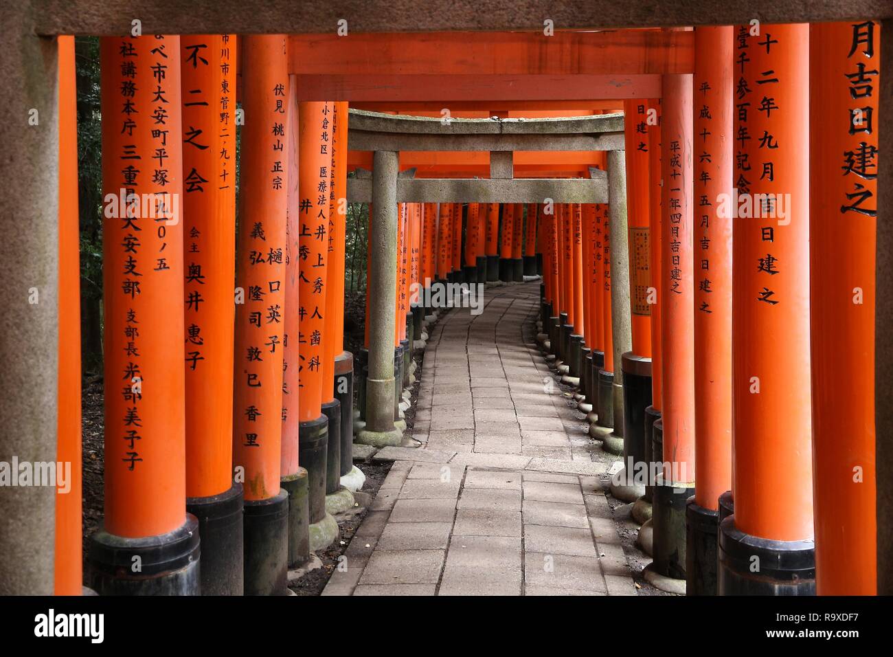 000 Torii Gates Fushimi Inari Immagini E Fotografie Stock Ad Alta Risoluzione Alamy