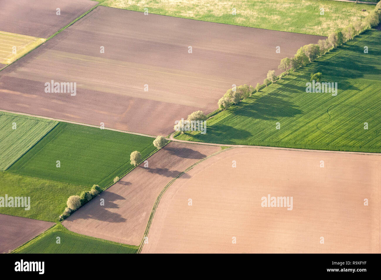 Vista superiore della superficie agricola a inizio estate di Monaco di Baviera, Germania. Foto Stock