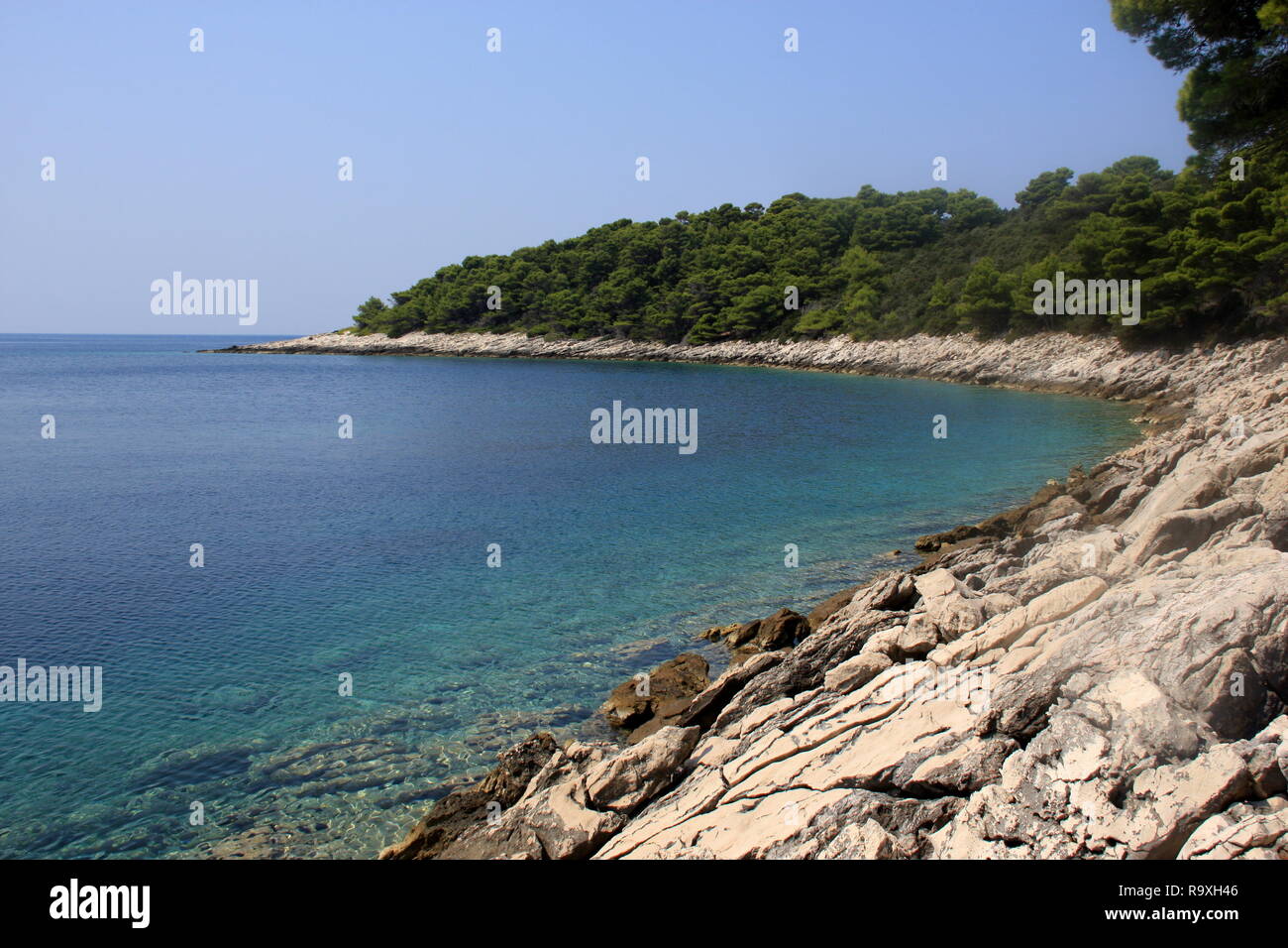 Lastovska Bay, il Parco Nazionale di Mljet Foto Stock