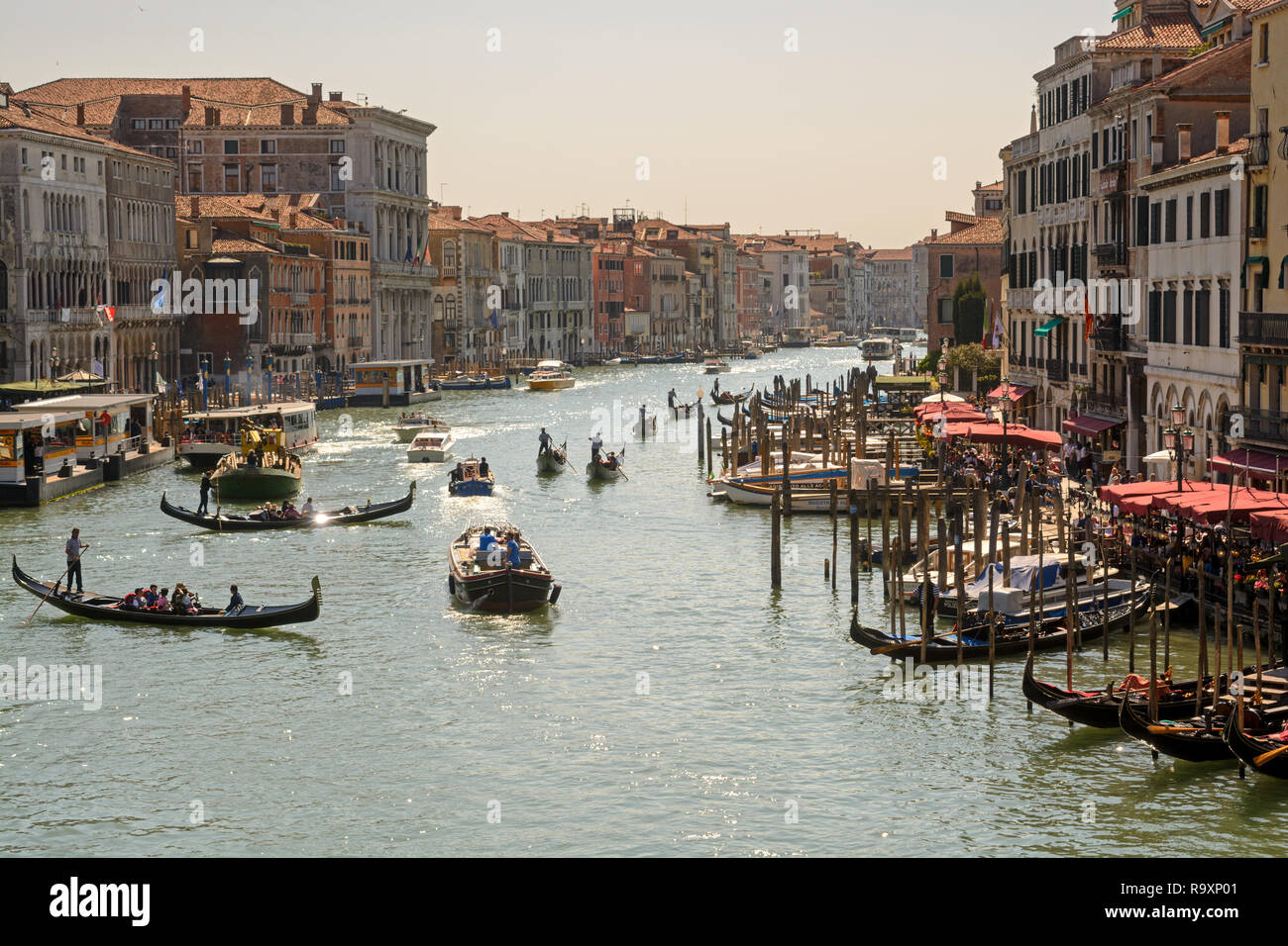 Canal Grande di Venezia con numerose gondole e barche Foto Stock