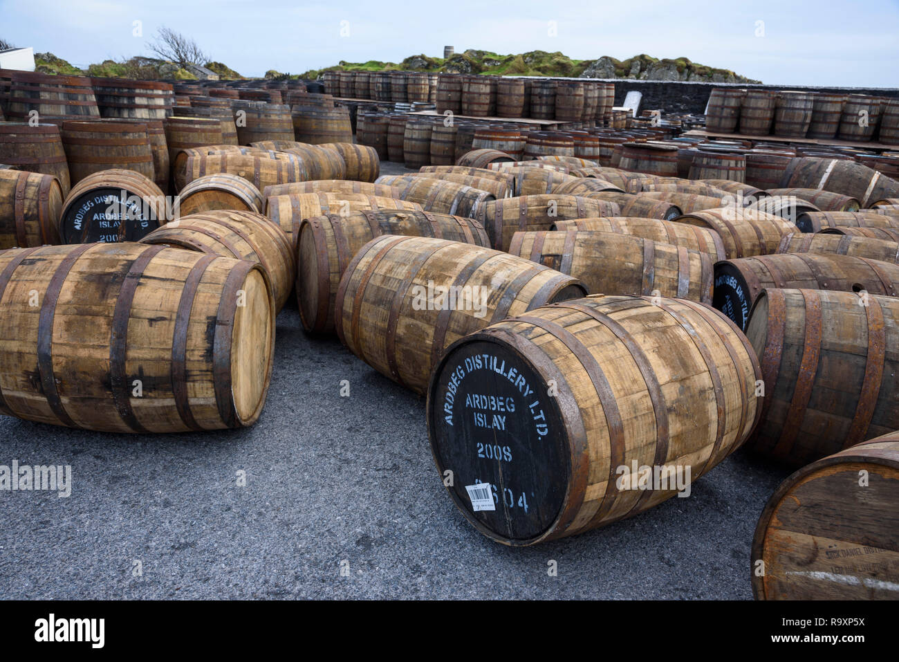 Botti di whisky alla distilleria Ardbeg, Islay, Ebridi Interne, Argyll & Bute, Scozia Foto Stock