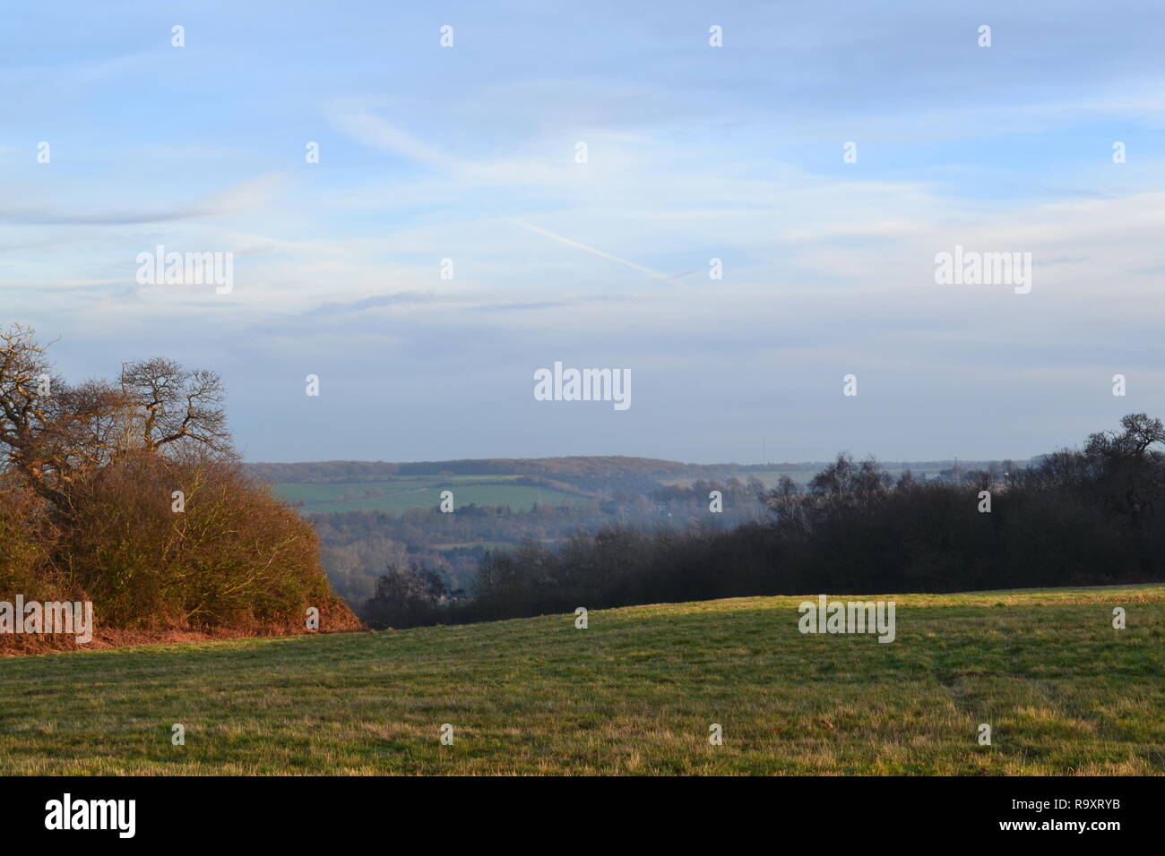 Parte assolato pomeriggio invernale vista del Lullingstone Country Park vicino a Sevenoaks, Kent, nella valle Darenth. Dicembre 27, 2018. Vista est. Foto Stock