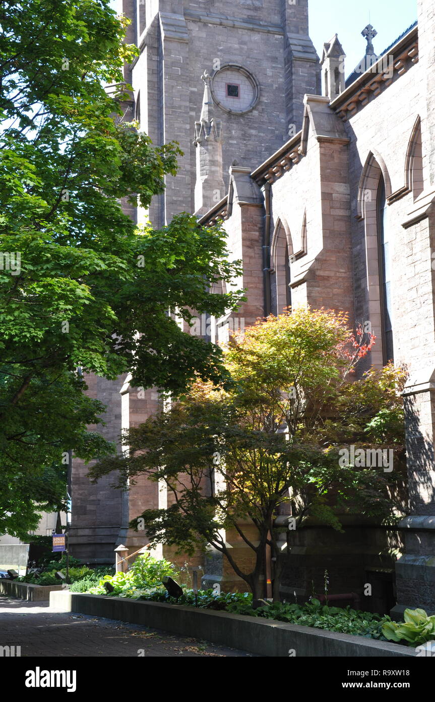 San Paolo cattedrale vescovile, vista laterale, Church Street, centro di Buffalo, NY Foto Stock