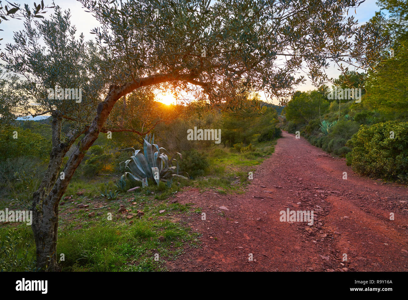 Tramonto a Sierra Calderona di Valencia in Spagna Foto Stock