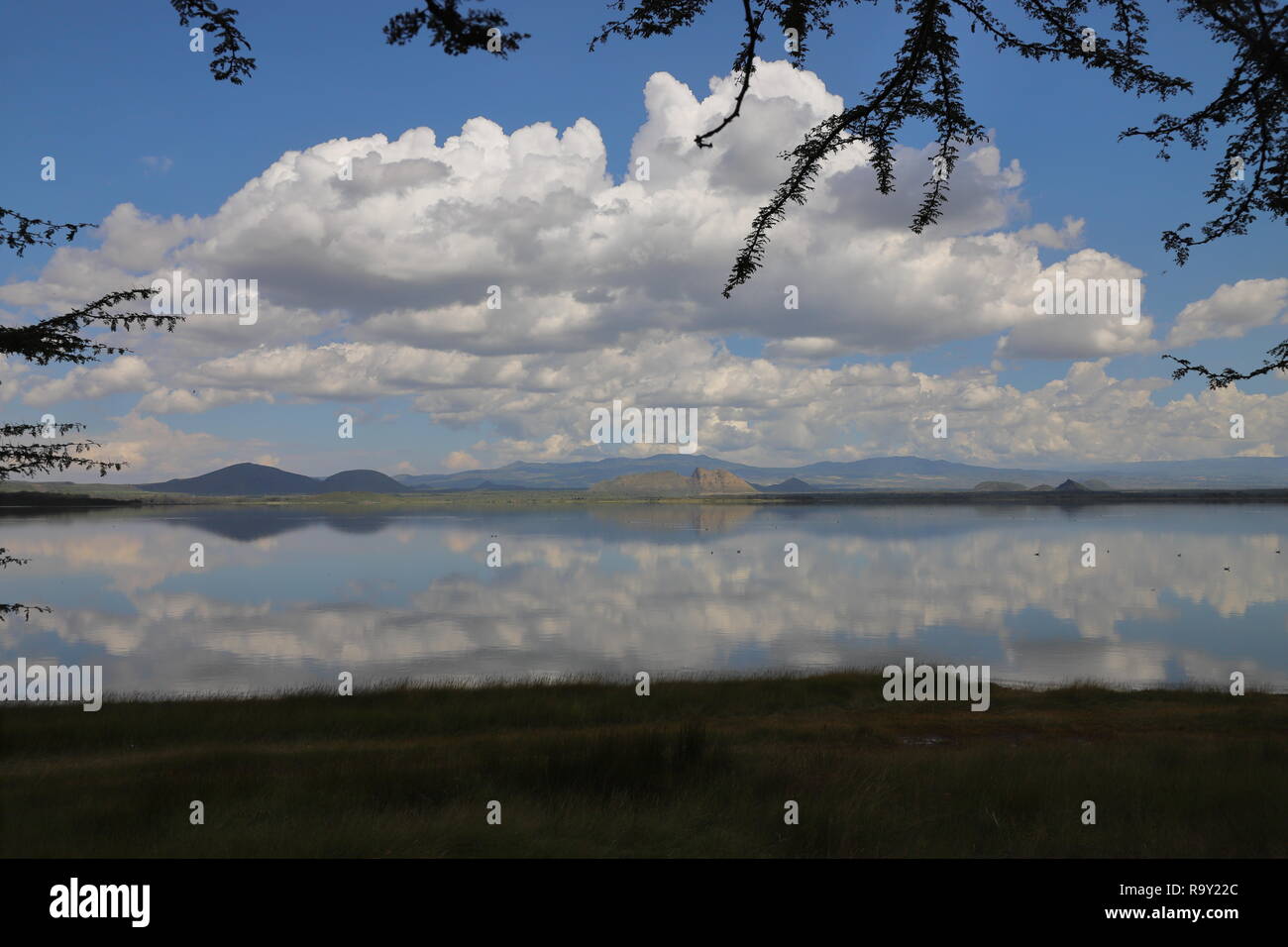 Il lago Elmenteita nella Grande Rift Valley in Kenya Foto Stock