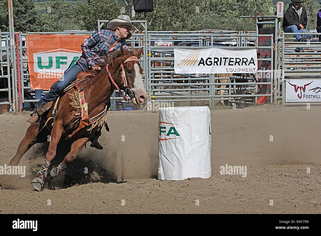 Rodeo, Calgary Stampede, Alberta, Canada, Barrel racing dove cavallo e cavaliere competere in un veloce e furioso evento temporizzato della concorrenza. Foto Stock