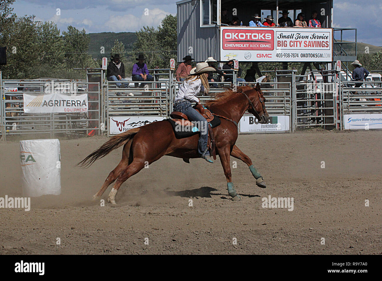 Rodeo, Calgary Stampede, Alberta, Canada, Barrel racing dove cavallo e cavaliere competere in un veloce e furioso evento temporizzato della concorrenza. Foto Stock