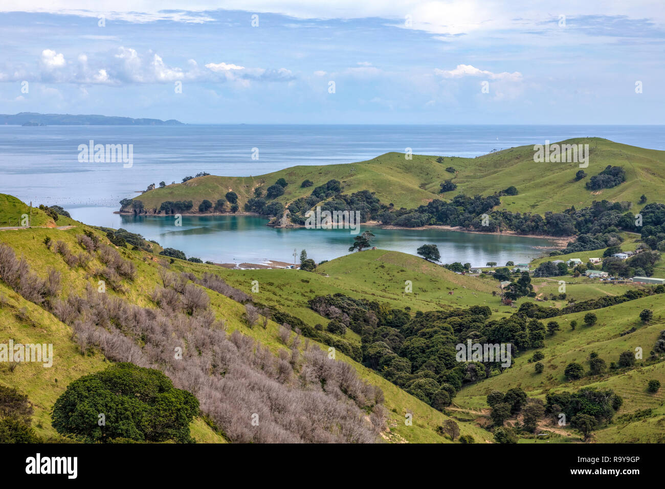 Manaia, Waikato, Penisola di Coromandel, Isola del nord, Nuova Zelanda Foto Stock