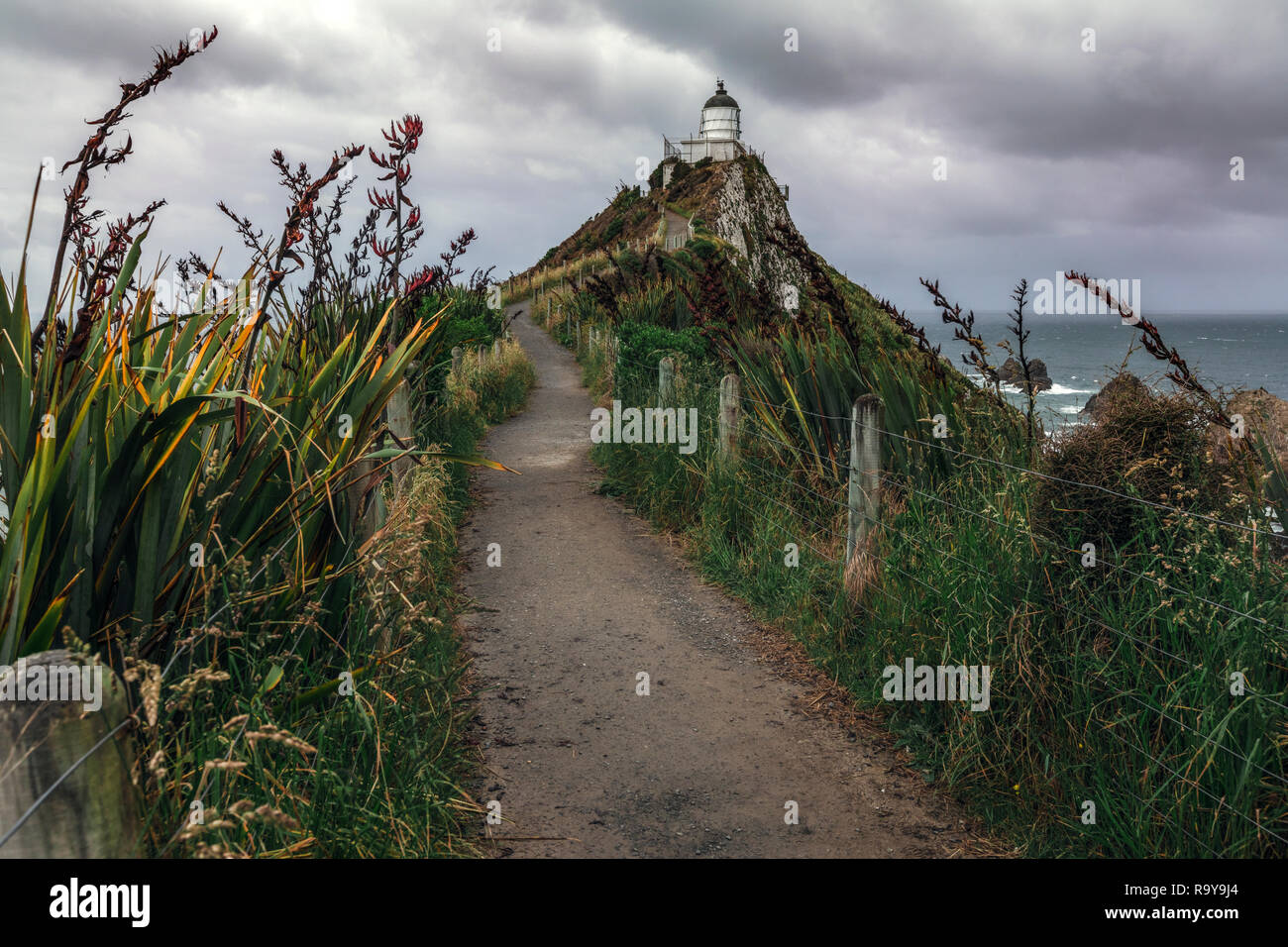 Nugget Point, Otago, Isola del Sud, Nuova Zelanda Foto Stock