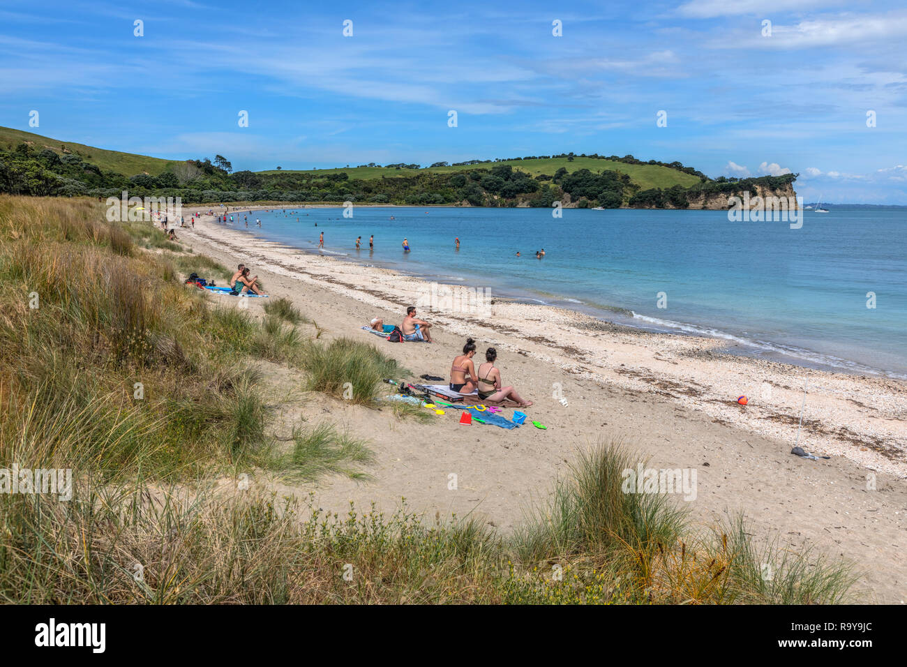 Shakespear Parco Regionale, Auckland, Isola del nord, Nuova Zelanda Foto Stock