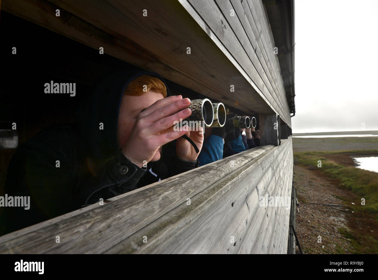 I giovani per il bird watching in Rye Harbour riserva naturale, East Sussex, Regno Unito Foto Stock
