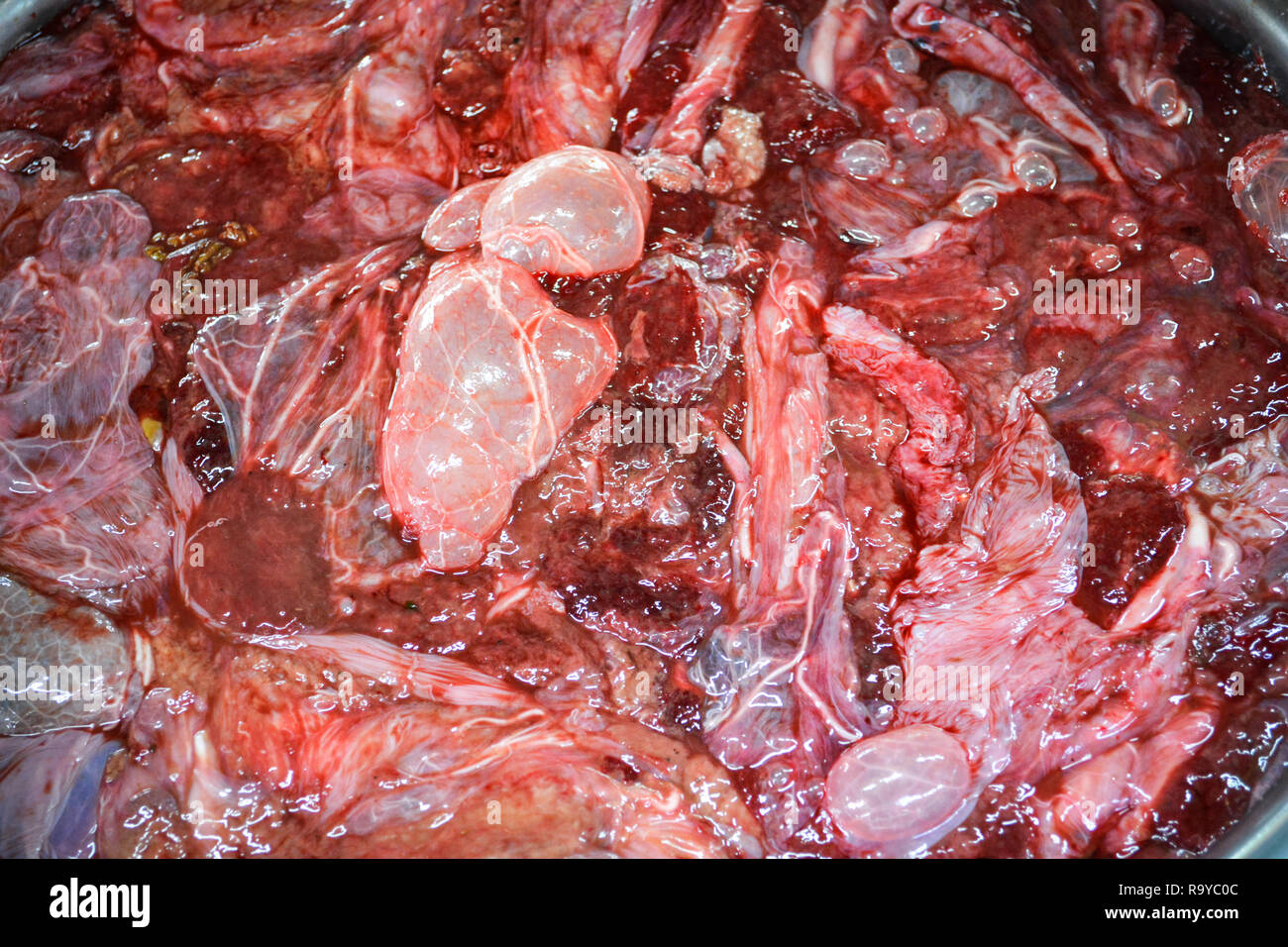 Animal placenta from cow for food strange at the north east Thailand or raw fresh beef / Amniotic sac Foto Stock