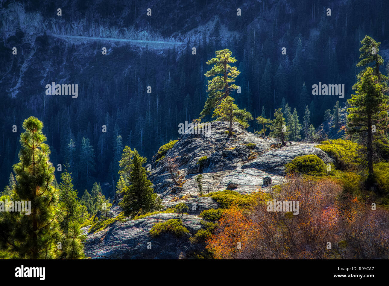 Bella vista di alberi sulla cima di una scogliera vista dal Vikingsholm Sentiero escursionistico, Emerald Bay State Park, South Lake Tahoe, California Foto Stock