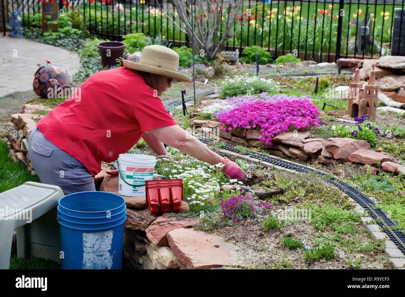 Una donna giardiniere è inginocchiato nel suo railroad flower garden piantare piante annue con tanta concentrazione. Foto Stock