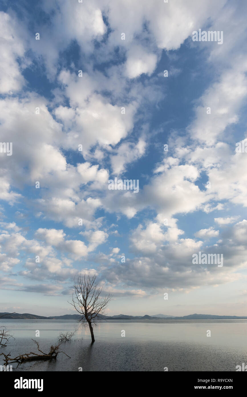Splendido ampio angolo di visione di un lago con un immenso cielo blu con nuvole sopra gli alberi scheletrici Foto Stock